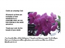 Slide2
