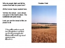 Slide4