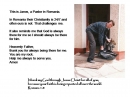 Slide15