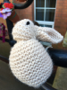 One of our bunnies