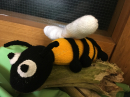 A woodland bee!