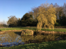 Duck pond at Osmaston