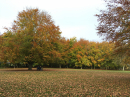 Autumn is coming