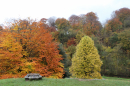 At Ilam Hall