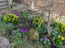 A special place in the garden